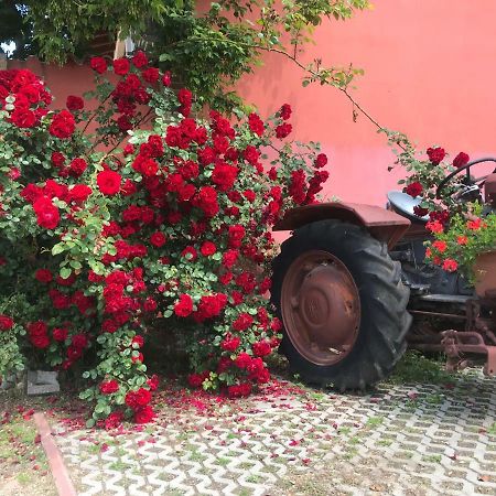 Agriturismo Mulino Bianco Лонато Екстер'єр фото