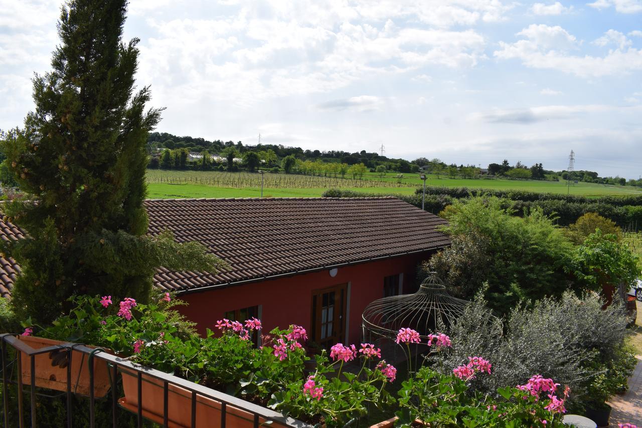 Agriturismo Mulino Bianco Лонато Екстер'єр фото