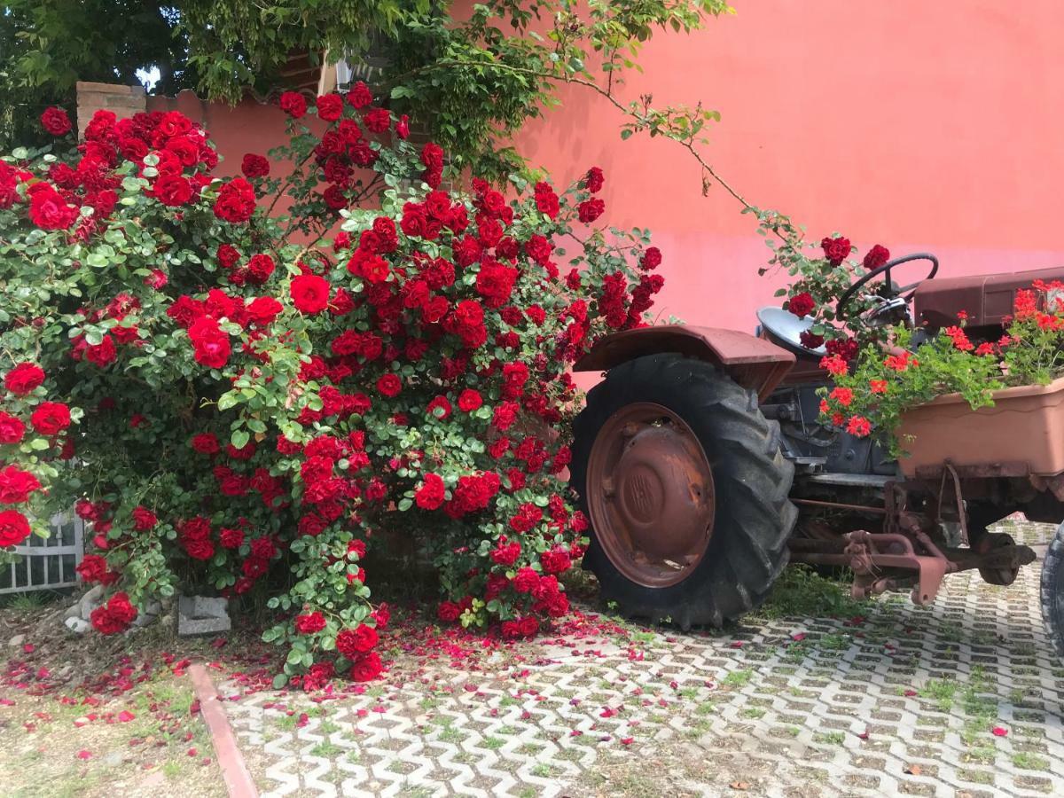 Agriturismo Mulino Bianco Лонато Екстер'єр фото